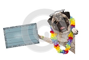 Frolic summer pug dog with hawaiian flower garland and sunglasses, holding up blue vintage wooden board