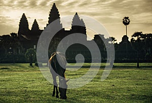 In front of the Angkor wat