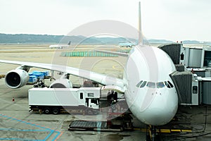 Front angle view of airplane on gate terminal preparing for take off.