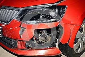 Front of Car after a Wildlife Accident