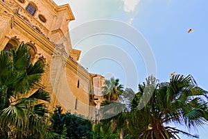 Catedral de la Encarnacion on Malaga photo