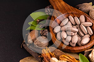 Front close-up of brown herbal pills in a wooden spoon with dry herbs and spices on black background. Herbal drugs concept