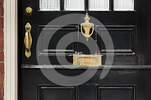Front door, close up with brass fixtures photo