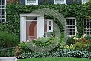 Front door of house surrounded by green vines