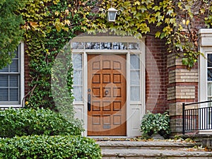 front door of house surrounded by vines photo