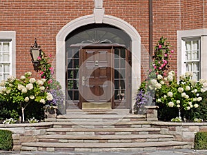 Front door with hydrangeas