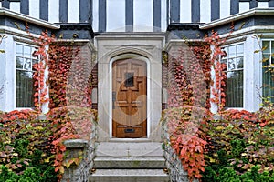 Front of old ivy covered house