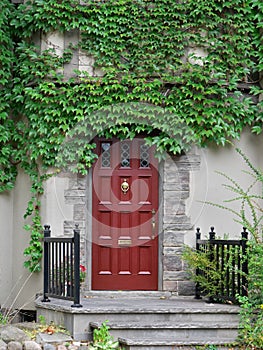 front door surrounded by ivy