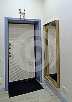 Front door to apartment and large mirror