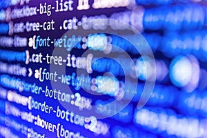 Front-end applications in the color concept. Website development. Programmer developer screen. WWW software development.
