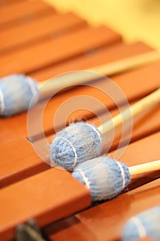 Front ensemble marimba with brown keys and blue yarn mallets close-up