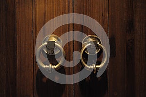 Front facing view of a wooden double doors with small knockers photo