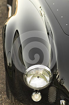 Front fender and headlight of Cobra