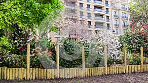 Front gardens on Avenue Foch in Paris