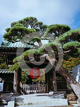 Front gate of Hasedera Temple in Kamakura