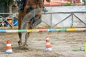 Front Horizontal View Of A Brown Horse Jumping The Obstacle