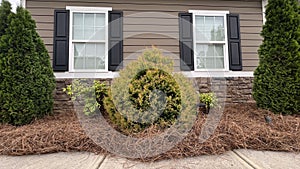 Front of house balanced landscaping with plants.