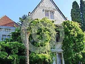 The front of the house is barely visible because of the palm trees and lianas. Rural landscape.