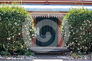 Front house entrance with large green wooden door, bull nose corrugated verandah roof, lace ironwork and two white camellia bushes