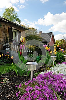 Front house garden