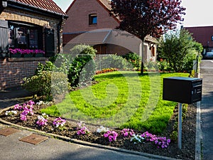 Front house garden