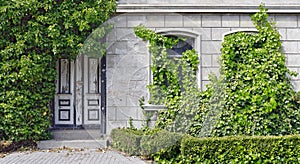 Front of a house overgrown by ivy