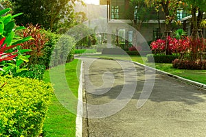 The front lawn yard in a beautiful garden and gray road with green and red leaves shurb of a house landscaping