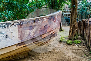 The front a old rowing boat in a tropical jungle scenery, water transportation, nautical background