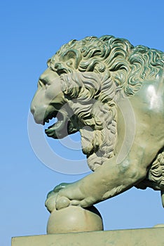 The front part of the lion sculpture near the Palace bridge closeup. Saint Petersburg