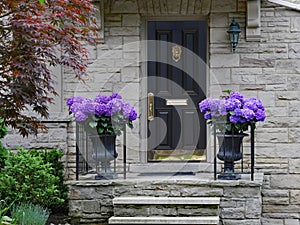 Front porch of stone faced traditional house bright hydrangea flowers