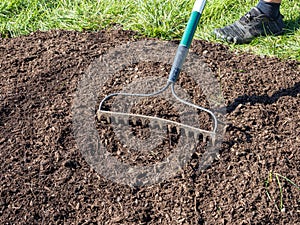 The front of a rake with a foot behind working with overseeding grass on lawn photo