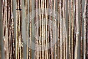 Front shoot of array of reeds texture.