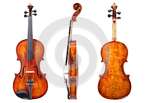 Front, side and back view of a violin