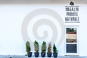 Front side of a grocery store, with green small trees and one do