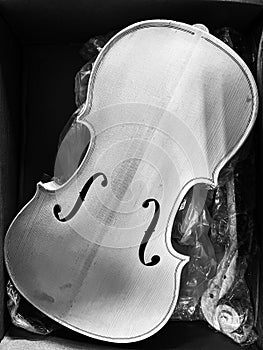 Front side of Raw Violin.