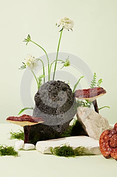 The front of the stones is decorated with lingzhi mushrooms, wild flowers and green moss on a white background. Lingzhi mushroom