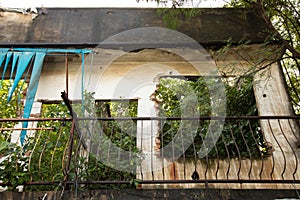 Front view of abandoned grunge house in urban asian area where people left for long time. Tree, ivy and nature were taken back,