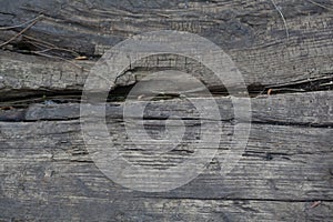 Front view abstract wood pattern