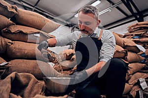 Front view of adult man pouring raw coffee beans in a bawl