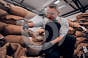 Front view of adult man pouring raw coffee beans in a bawl photo