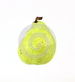 Front View Anjou Pear
