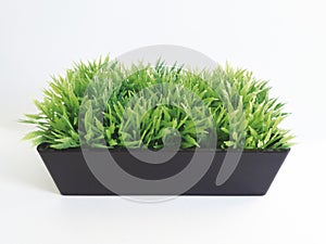 Front view of artificial grass in pot isolated on white background. Artificial Green Plants in Flower Pots for Home and Office