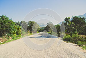 Front view of asphalt road with fruit trees on road-sides, moutains ahead