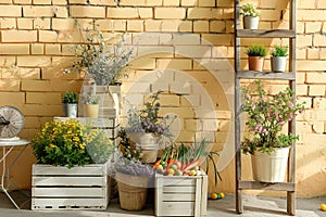 Front View Backdrop with Brick Wall, White Wooden Crates, Tulips, and Ladder.