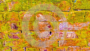 Front view of Brick Moss wall