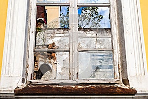 front view of broken glass in wooden window frame