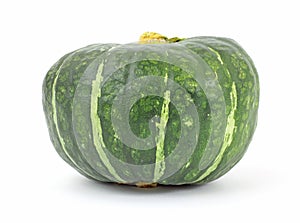 Front View of Buttercup Squash