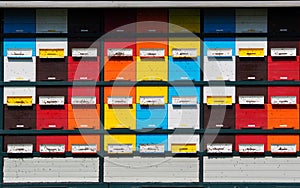 Front view of colorful wooden beehives lined up and stacked in a large rectangular structure. Apiculture