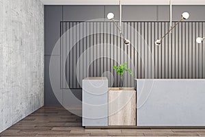 Front view on concrete reception desk with green plant in glass vase on wooden surface in stylish spacious office hall with modern