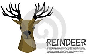 Front view of deer on transparent background